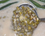 Foto langkah ke 5 dari resep Bubur Kacang Hijau.