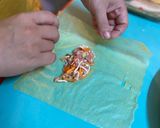 Hình bước làm 8 của món Vietnamese fried spring rolls (nem/chả giò)