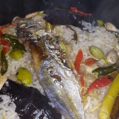 Langkah 6