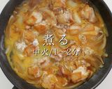 A picture of step 26 of Surprisingly Delicious! Ultimate Oyakodon.
