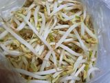 Tumis Tauge Saus Tiram