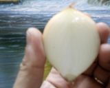 Hình bước làm 2 của món TỈA BÔNG SEN BẰNG HÀNH TÂY