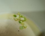 Hình bước làm 1 của món Nui rau củ xào bò