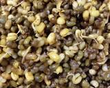 Sproutssalad recipe step 1 photo