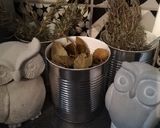 Une image de l'étape 4 de Pot au feu de canard.