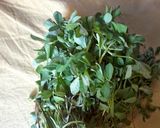 A picture of step 1 of Baingan methi ki subji.