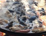 Foto del paso 4 de la receta: Cocimiento en disco