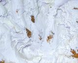 A picture of step 5 of Frozen Chicken Potato Kabab.