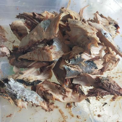 Langkah 2