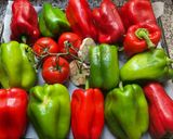 Une image de l'étape 1 de 🥣Sauce aux 🍅🌶️poivrons🫑🧄.