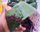 Foto langkah ke 3 dari resep Lupis Ketan Hitam.