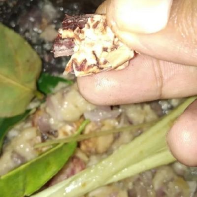 Langkah 2