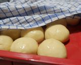 Foto langkah ke 3 dari resep Roti maryam/cane.
