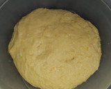 Foto del paso 5 de la receta: Stollen, pan dulce Alemán