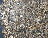 A picture of step 5 of Mixed seed and coconut chikki.