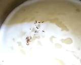 ஆரோக்கியமான தால் செரிலாக் ரெசிபி ஸ்டேப் 7 புகைப்படம்