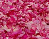 عکس مرحله 2 از دستور چای با عطر گل محمدی☕🌸