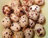 Foto langkah ke 1 dari resep Batik Telur Puyuh / Pindang Telur Puyuh / Marble Egg.
