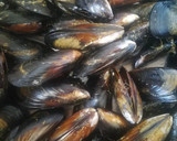 Foto del paso 1 de la receta: Mejillones al horno