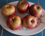 Foto del paso 1 de la receta: Manzanas en almíbar, canela y miel🍎