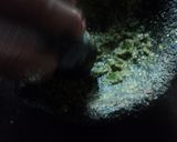 Foto del paso 2 de la receta: Salsa con polvo de charal al mezcal mexicana de chilitos de agua dulces