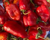 صورة لخطوة 1 من وصفة يالنجي الفلفل الحار 🌶🌶