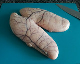 Foto del paso 1 de la receta: Huevas de merluza cocidas