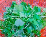 Hình bước làm 1 của món Canh chua cá chốt nấu lá me đất