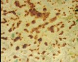 A picture of step 4 of Radish paratha.