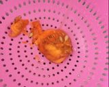 Foto del paso 1 de la receta: Semillas de calabaza tostadas