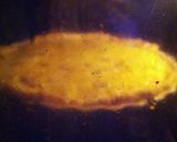 A picture of step 14 of Cheese and caramelised onion tart.