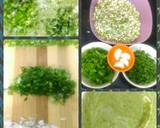 Sprouted Moong Palak Mini Chila recipe step 1 photo