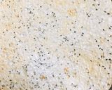 Hình bước làm 5 của món Phở ếch