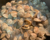 Foto del paso 3 de la receta: Espaguetis con almejas, cilantro y lima