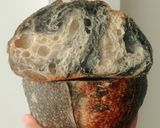 Foto langkah ke 28 dari resep Yin Yang Sourdough Bread (92% - Oven Tangkring).