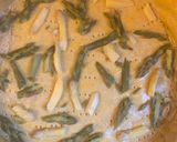 Une image de l'étape 4 de Tarte aux 2 asperges et parmesan.