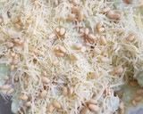 Foto del paso 4 de la receta: Canelones de pollo en crema de ajoporro