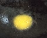 Foto langkah ke 3 dari resep Bitterbalen (Bola2 Daging).