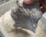 Foto del paso 8 de la receta: Milanesa de ternera