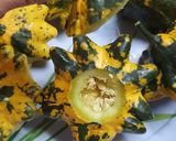 Foto del paso 5 de la receta: Calabazas pâtisson rellenas