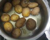 Panjabi Dumaaloo recipe step 3 photo