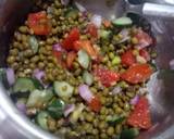 Khakhra Moong pizza (Healthy breakfast) recipe step 2 photo