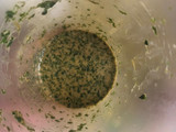 Lomo al cilantro