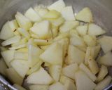 A picture of step 1 of Single Ingredient! Apple Pie "Filling".