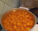 Foto del paso 2 de la receta: Quinotos en almíbar - receta familiar