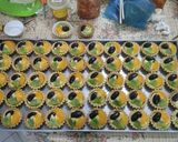 Foto langkah ke 6 dari resep Pie Buah.