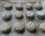 A picture of step 6 of Vickys Dried Fruit & Apple Scones, GF DF EF SF NF.