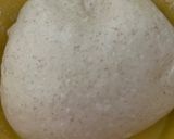 Foto del paso 5 de la receta: Pan de molde de espelta de masa madre !!!!