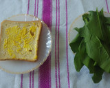 Foto del paso 10 de la receta: Salmón Gravlax 🥪🐟