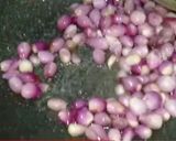 Foto langkah ke 1 dari resep Sambal Tumis Bawang Merah.